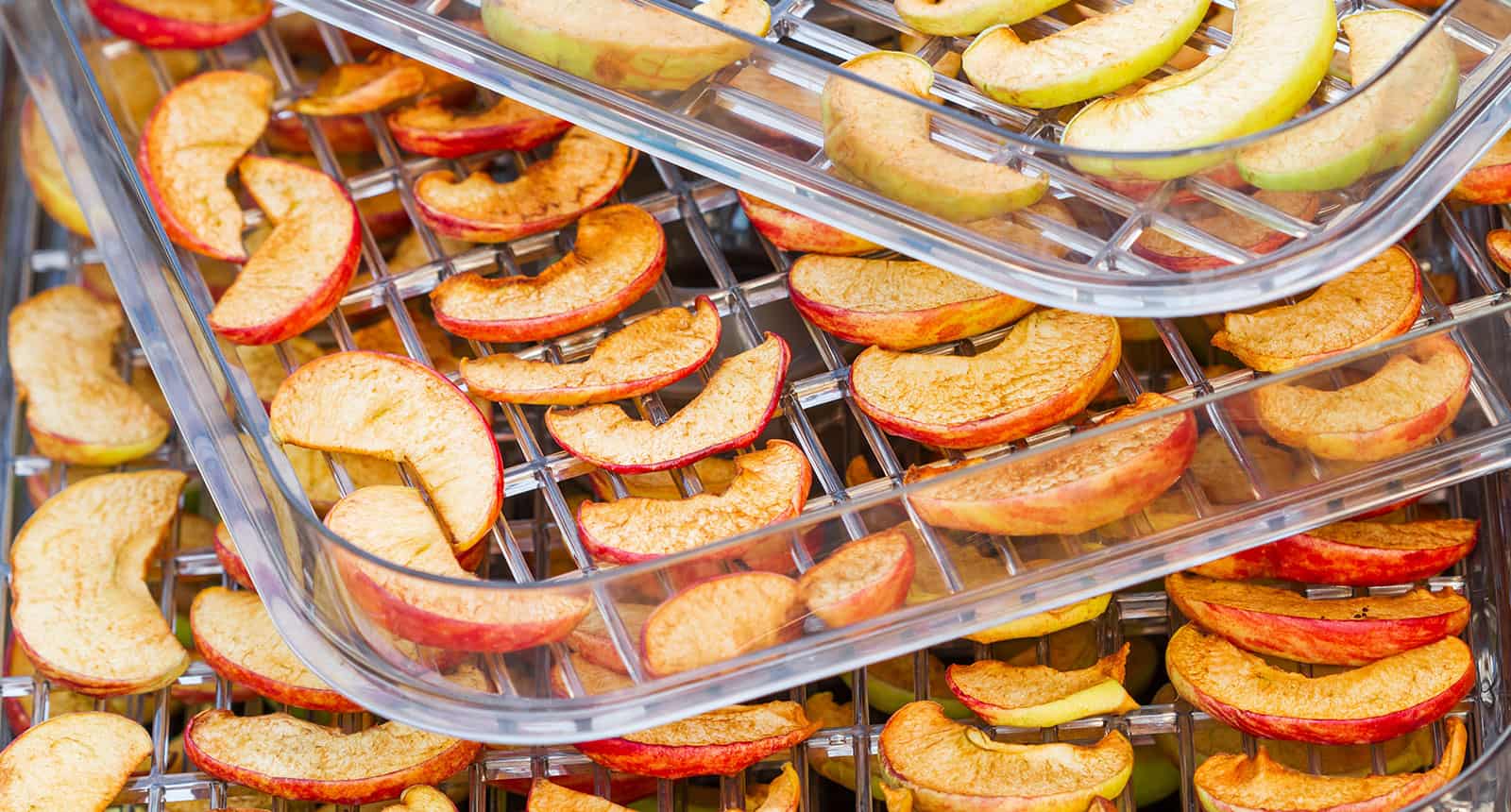 Top 16 Best Food Dehydrators