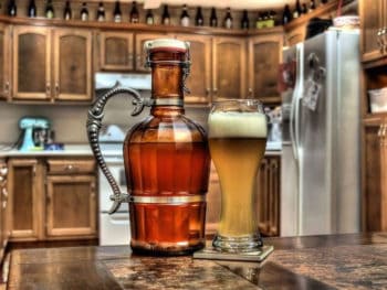 Best Beer Growler Models