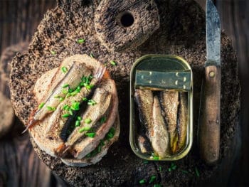 Best Canned Sardines