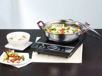Best Portable Electric Stove