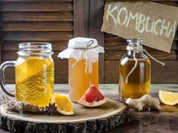 Best Kombucha Brand