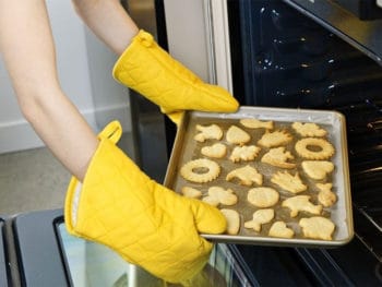 Best Oven Mitts