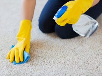 Best Enzymatic Cleaners