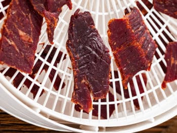 Best Food Dehydrator for Jerky