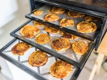 Best Food Dehydrator For Jerky