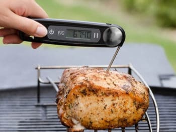 Best Meat Thermometers