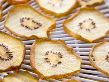 Best Nesco Dehydrator