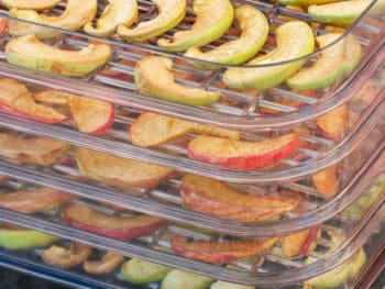 Best Nesco Dehydrator