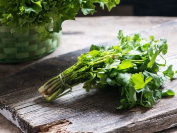 Best Coriander Substitutes