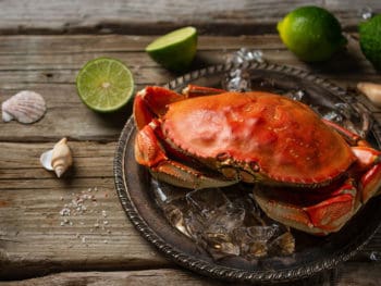 Can You Freeze Fresh Crab Meat