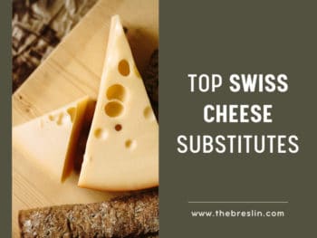 Fontina Cheese Substitute